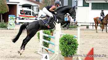 Hengststation Maas J. Hell: 17 Pferde lösen Ticket nach Warendorf