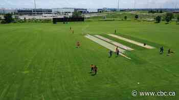 Never played cricket? Here’s a quick lesson from a GT20 player