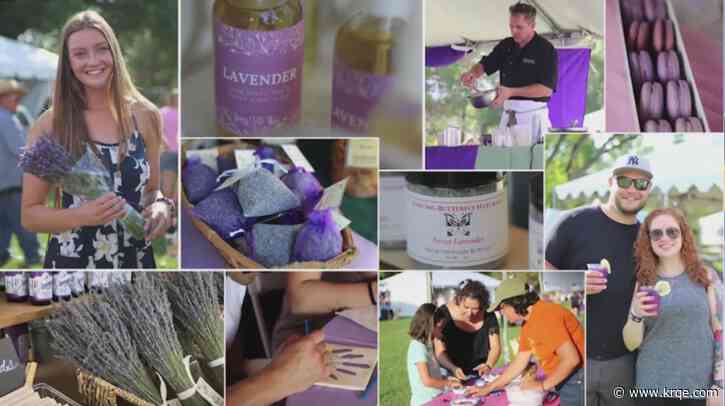 Lavender in the Village Festival is back