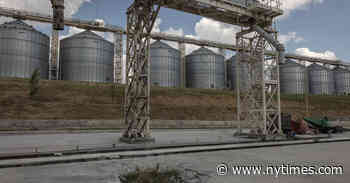 Wheat Prices Remain High as Concern Grows About Black Sea Instability