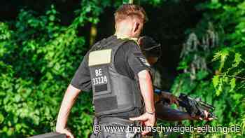 Entlaufene Löwin: Polizei setzt die Suche in der Nacht fort