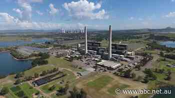 'Striking' falls in wholesale prices spark claims consumers are paying too much for power