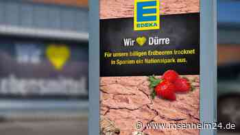 Plakate vor Edeka-Filialen gesichtet: Vorwürfe wegen Erdbeeren