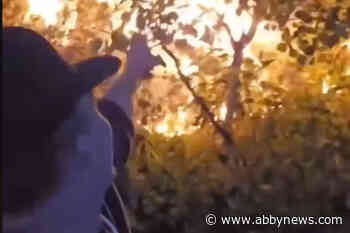 RCMP investigate man who falsely claimed he started wildfire in Cranbrook area