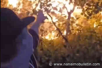 RCMP investigate man who falsely claimed he started wildfire in Cranbrook area