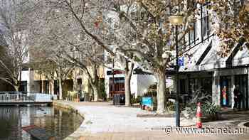 'It smells like rubbish bins': Businesses suffering as bird droppings paint alfresco area white