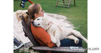 5 Tips for Keeping Pets Pest-Free