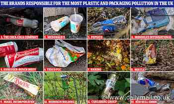 Revealed: The 'Dirty Dozen' brands responsible for the most plastic and packaging pollution in the UK - so is YOUR favourite on the list?