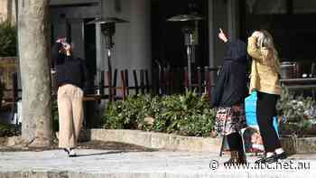 'I avoid this place': Businesses struggling as foul-smelling bird excrement ruins alfresco area