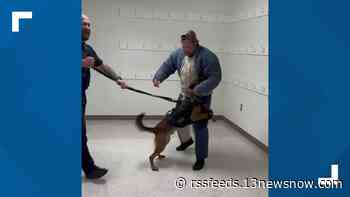 5 Virginia K9s get fitted for custom-fit ballistic vests