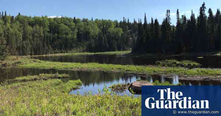 Mercury exposure linked to high youth suicides in Canada First Nation