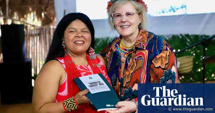 Brazilian constitution translated into Indigenous language for first time