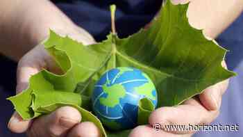 Greenwashing-Vorwürfe: Mehr Glaubwürdigkeit für die Guten