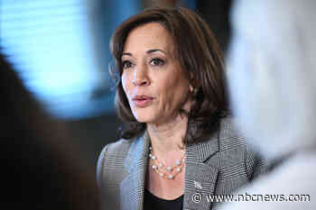 Kamala Harris to travel to Florida and speak out against state's new Black history standards