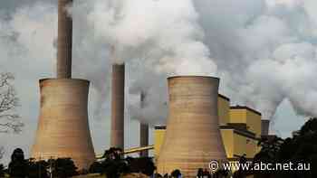 Claims consumers may be paying 'too much' for power after big falls in wholesale prices