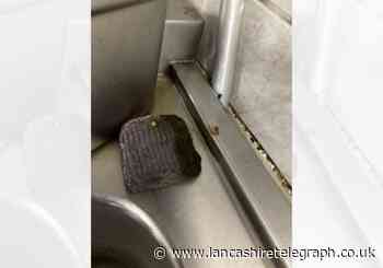 Nelson takeaway boss breached food hygiene regulations