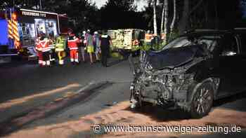 Wahrenholz: Transporter rutscht nach Kollision gegen Baum
