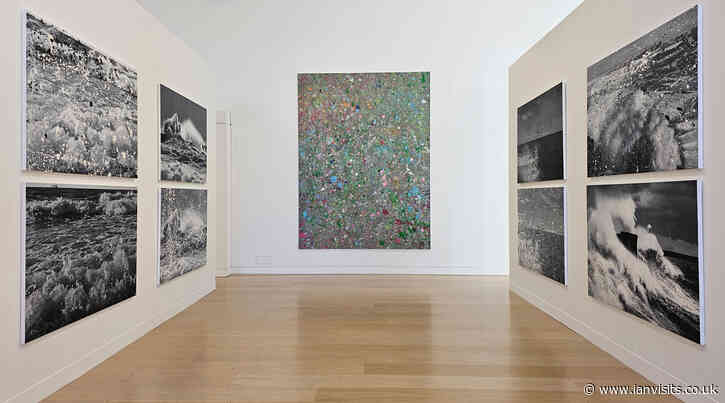 Damien Hirst takeover exhibition at Phillips auction house