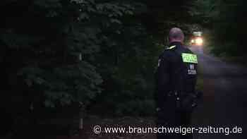 Löwen-Alarm bei Berlin: Großfahndung geht weiter