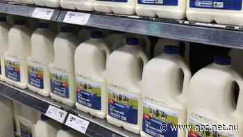 'Extremely scary': Dairy farmers, ACCC concerned about Coles' bid to buy milk processing plants