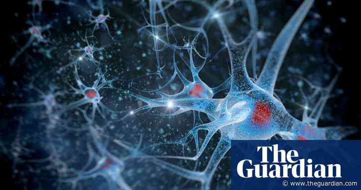 Australian DishBrain team wins $600,000 grant to merge AI with human brain cells