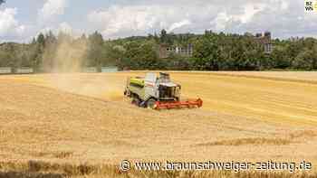 Landhändler warnt: Ukraine-Importe belasten Landwirtschaft