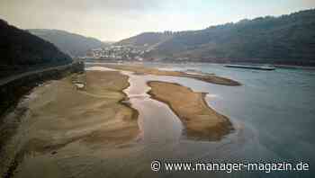 Rhein: Warum das Niedrigwasser die Wirtschaft schwächt