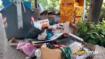 Boom di proteste sulla raccolta stradale: ACoS pubblica il report sulle segnalazioni dei romani