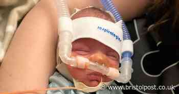 Krysten's baby was born 16 weeks early - he was so small he fit inside her bra