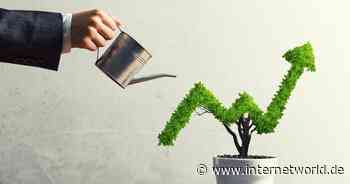 Wie Marken ihr D2C-Business früh skalierfähig aufstellen