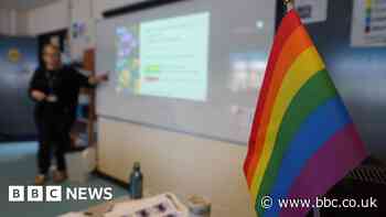 Transgender guidance for schools to be delayed