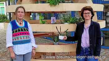 In Wolfenbüttel werden mit der „Green Cell“ Pflanzen getauscht
