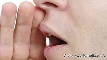 Bisexual men are perceived as more masculine-sounding than straight men, study finds