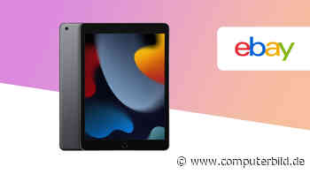 Apple iPad (2021) jetzt am günstigsten bei Ebay sichern!