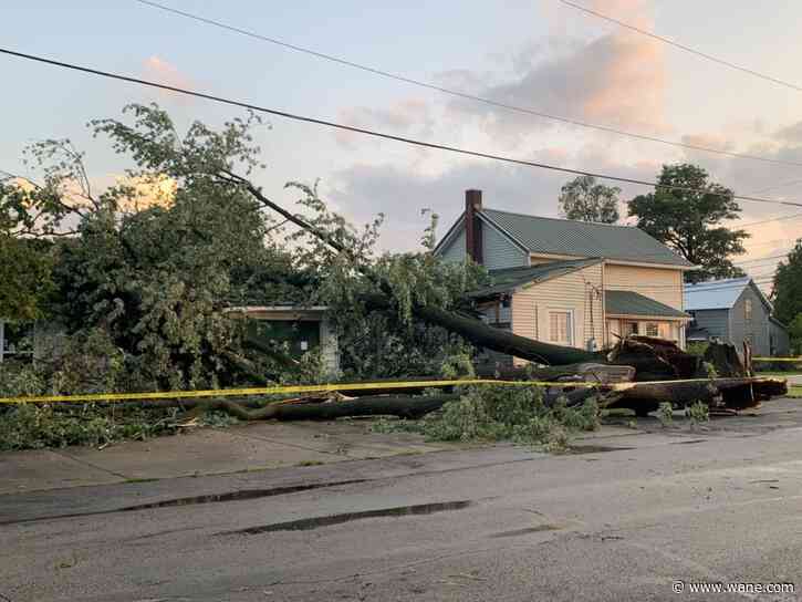 Van Wert County woman dies after downed tree crashes into home