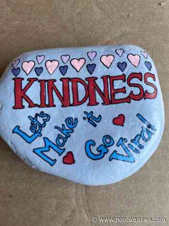 Ponoka Rockz set to begin rock snake project called ‘Ponochio’