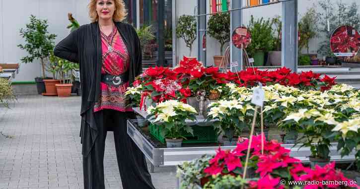 Gloria Gray plant neues Buch, Politik und Fashionshow