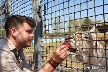 Schloß Holte-Stukenbrock: Raubtier-Experte im Medieneinsatz