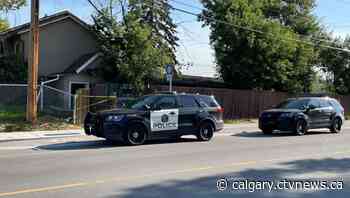 1 in serious condition after southeast Calgary shooting