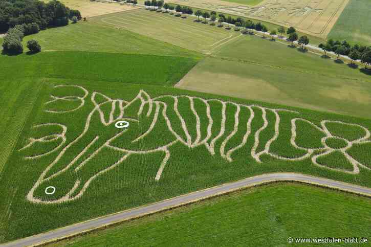 In Delbrück-Anreppen spazieren Menschen durch einen Pferdekopf