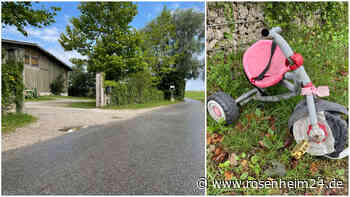 Nach überfahrenem Hund und erschrockenem Pferd: Reitlehrerin fordert Tempo-30-Limit