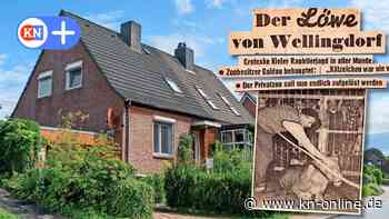 Entlaufener Löwe löste vor 62 Jahren in Kiel-Wellingdorf Großalarm aus