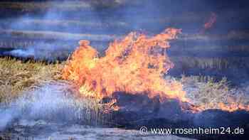 Feld steht in Velden in Flammen - Großaufgebot an Kräften im Einsatz