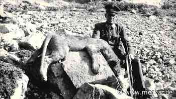 Vor 65 Jahren: Die echte Löwin vom Eibsee