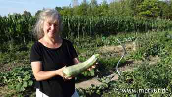 Trockenheit, Sturm, Regenschauer: Wie klappt da der Eigenanbau auf dem Acker?