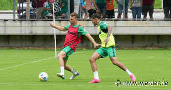 Den Feinschliff holen