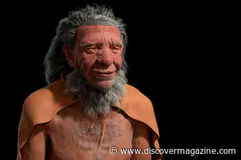 Neanderthals Also Had Superior Toolmaking Abilities, Not Just Humans