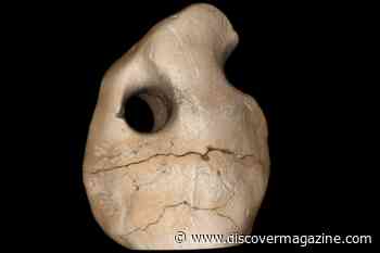 Early Humans Survived an American Ice Age, Archaeologists Say