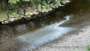 Weiße Substanz in der Oder in Bad Lauterberg entdeckt