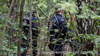 Nur ein Wildschwein: Wie Berlin zur Lachnummer wurde